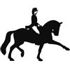 HKM Dressage Applicazioni Verde Mela Ps Film One Size