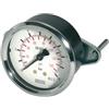 RIEGLER 101920-110.80 Standardmano, anello triangolare, G 1/4 posteriore, -1/0,0 bar, Ø 50, 1 pezzo