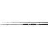 Shimano Canna Beastmaster AX Pilk 2,40m 100-200g 2pc Shimano