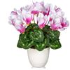 Oairse Fiori artificiali, piccoli ciclamini artificiali, persico, fiori