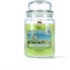 Magic Lights Candela Profumata Mojito 510g - Lime e Menta Fresca - 90/100 Ore - Stoppino in Legno Scoppiettante - Cera Vegetale 75% - Giara Grande Made in Italy