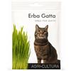Does not apply ® | Semi Erba Gatta Naturale | Bustina Di Semi Di Erba per Gatti Facile Da Colti