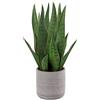 Briful - Pianta artificiale Sansevieria, altezza 40 cm, in vaso di cemento