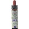 Princeps Srl Gorse Nr. 13 Princeps Fiori di Bach Originali Gocce Ginestra