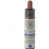 Princeps Srl Honeysuckle Nr. 16 Princeps Fiori di Bach Originali Gocce 10ml