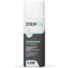 Camp -STRIP GEL- Sverniciatore Professionale Spray per Legno, Ferro e Muro-400ml
