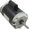Jandy Zodiac Motore A Vite Jandy Zodiac P61 0.75HP 60HZ Per Pompa Booster