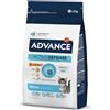 Advance CIBO GATTINI KITTEN POLLO RISO 1.5KG ALIMENTO COMPLETO GATTO CUCCIOLI NUTRIZIONE