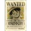 TEKNOFUN One Piece Led Wall Lampada Light Wanted Luffy 30 Cm Teknofun