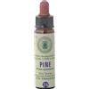 Princeps Srl Pine Nr. 24 Princeps Fiori di Bach Originali Gocce