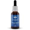 Fiori Australiani - Bush Flower Australian Bush Flower Essences Flower Mood 30 ml