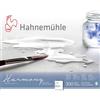 Hahnemühle Hahnemuhle Harmony Watercolour Block,12 Sheets 24x30cm Rough