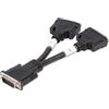 Lindy Cavo Adattatore da DMS 59 a 2 x DVI-I