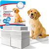 R MOVE 100 Traversine Cani 60x60 con Adesivi - Tappetini Igienici Assorbenti per Cani, Traverse Cane Assorbenti, Telini Pipi, Tappetino Igienico antiodore Traversina Assorbente