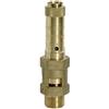 RIEGLER 229.04-3.5 - Valvola di sicurezza in ottone, attacco G 1-1/4, pressione di risposta 3,5 bar