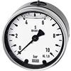 RIEGLER 102241-831 Glyzerinmano, Metallgeh, G 1/2 Posteriore eccentrico, 0-100 bar, Ø 100, 1 pz
