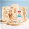 Set di gioco Anatomia del Corpo Umano con Scheletro a Strati, adatto a