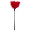 Teazers Easytoys Fetish Collection Paletta con Piumino, Rosso - 44 gr