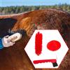 Kit Per La Toelettatura Del Cavallo, 3 Strumenti Per La Pulizia Del Mantello