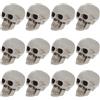 12 Pcs Testa Di Teschio Plastica Soprammobile Umano in Cranio Realistico
