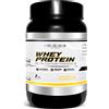 Healthy FUSION Whey Protein in Polvere Healthy Fusion | Proteina Premium 100% Pura + BCAAS + Am