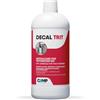 CAMP Decal Trit Disincrostante WC Anticalcare per Trituratore e Scarico WC
