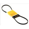 CONTITECH 3PK977 ELAST Cinghie di distribuzione per Veicoli