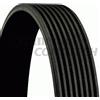 CONTITECH 8PK880 Cinghia servizi