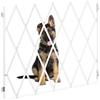 Relaxdays Cancelletto di Sicurezza per Cani, Recinzione Allungabile Fino a 130 cm, Alto 87,5-100 cm, in bambù, Bianco