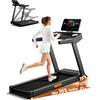 UMAY Tapis Roulant Salvaspazio con 16% Pendenza 14KM/H Tapis Roulant Elettrico