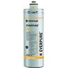 Everpure AC EV9601-12 Ricambio Filtro Acqua