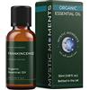 Mystic Moments Franchincenso Olio Essenziale Organico - 50ml - 100% Puro