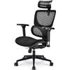 Sharkoon Sedia Gaming C40 Seduta Imbottita Nero con Schienale Regolabile