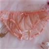 Brand New Uomo Biancheria Intima Femminile Floreale Pizzo Mutandine Bikini Puro
