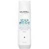 Goldwell Dualsenses Scalp Specialist Anti Dandruff Shampoo 250ml