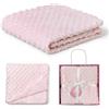 Interbaby 0881-02 Microfase - Coperta per bambini, 80 x 110 cm, colo bBzU