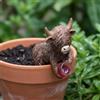 Statuetta Mucca Scozzese Resistente Alle Intemperie per Giardino, Scrivania