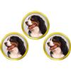 Marcatori Di Palla Da Golf Per Cane Da Montagna Bernese