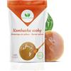 Natural probio Original Kombucha Scoby - Kit di avviamento per la coltivazione - Mere de Kombuc
