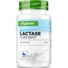 vit4ever Lattasi 13.000 Depot - 365 Compresse - Sepismart® a lento rilascio | Al