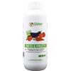 Does not apply Concime Orto E Frutti 1 Litro - Azoto Fosforo Potassio E Microelementi Chelati -
