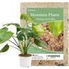 2 Litri Di Terriccio per Monstera, Terriccio Idratante a Lunga Durata per Il Rin