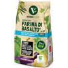 ADAMA VerdeVivo FARINA DI BASALTO Barriera fisica Insetti Funghi orto frutta 1 KG