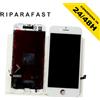 Apple DISPLAY PER APPLE IPHONE SE 2020 SCHERMO BIANCO TOUCH SCREEN LCD PARI ORIGINALE