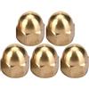 ViaGasaFamido Kit Dadi Ciechi in Ottone M6 20 Pezzi Set Esagonali con Cappuccio Testa B