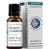 Mystic Moments | Olio vettore di ribes nero | 10ml