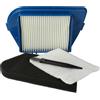 vhbw Set filtri/spazzola 4 pzz. per Rowenta Compacteo Cyclonic aspirapolvere