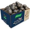 Patate RUGGIERO Viola per "PIATTI GOURMET" Box 5 Kg