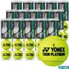 YONEX TOUR PLATINUM Palline da Tennis TB-TPL4 60 Palline 15 Lattine 4 Palline...