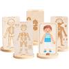 Corpo umano, set di gioco , puzzle in legno a scheletro, giocattoli per bambini